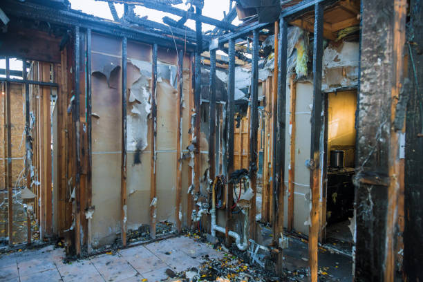 Professional Fire Damage Removal technician working in Alma, AR